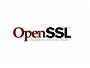OpenSSL soluciona ocho vulnerabilidades