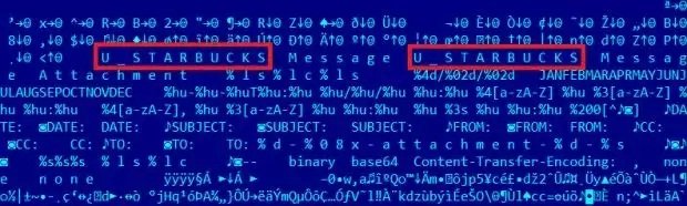 Código de Regin con el nombre codificado _STARBUCKS / Imagen de Kaspersky Labs