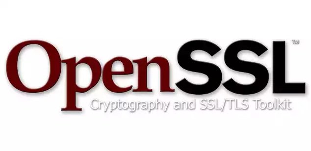 Actualizan OpenSSL para solucionar una vulnerabilidad crítica