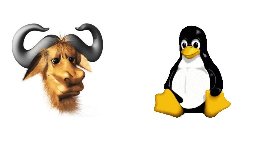 GNU ha clasificado a Microsoft como malware. Las razones son que viola la privacidad y que es demasiado tiránico en dejar escoger a los usuarios