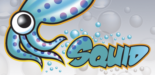 Squid-cache_proxy